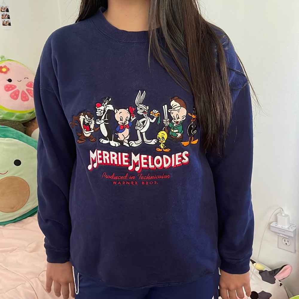 Vintage Loony Tunes Warner Bros Sweatshirt 💙